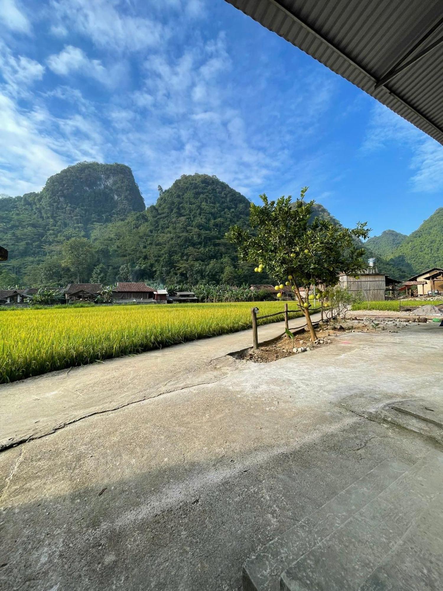 Nung An Homestay Quang Uyen Εξωτερικό φωτογραφία